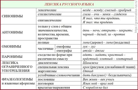Лексика русского языка Русский язык без проблем