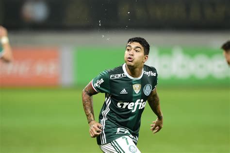 The best gifs are on giphy. Relacionado, Dudu crê em fim de tabu do Palmeiras contra o ...