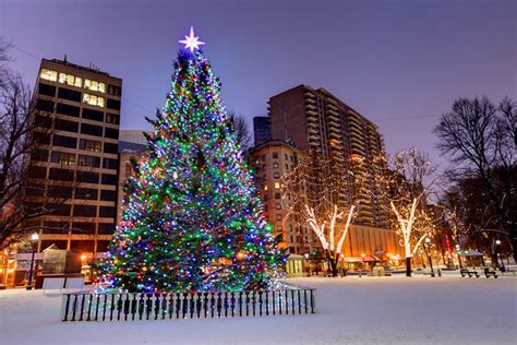Nova Scotia Selects Annual Christmas Tree To Send To Boston