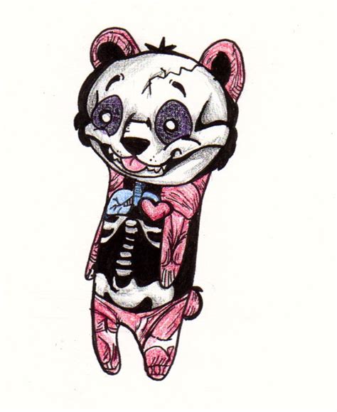 Anatomy Panda By Giraffalo On Deviantart