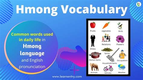 Learn Hmong Vocabulary Learn Entry