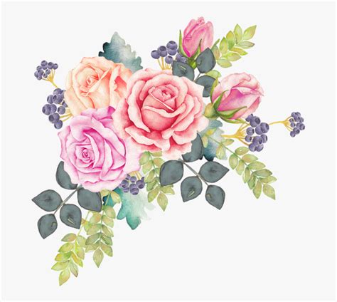 Assorted Color Flowers Illustration Watercolour Flowers Watercolor