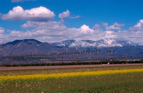 San Bernardino Mountains Land Trust Protected For Future Generations