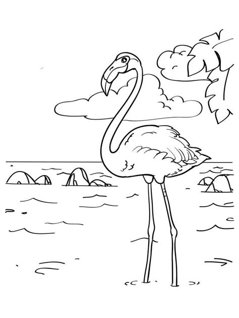 Desenhos De Flamingos Para Imprimir E Colorir Animais Para Colorir Flamingo Coloring Page