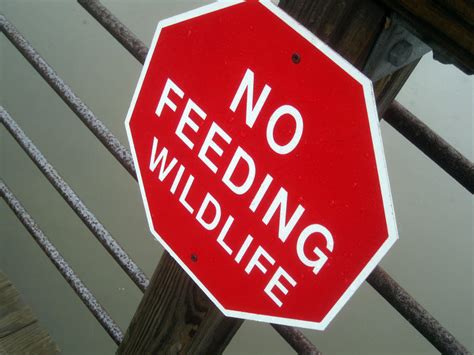 No Food for the Animals by WilliamsMind on DeviantArt