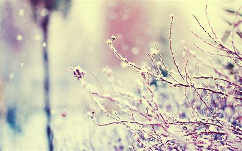 Nature Winter Snowflakes Facebook Cover Photos Vintage Cover Pics