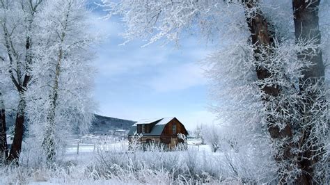 Winter Wonderland Wallpaper ·① Download Free Stunning