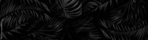 Vector Horizontal Banner With Silver And Black Tropical Leaves On Dark