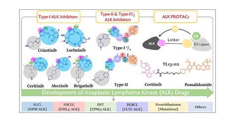 Drug Discovery Targeting Anaplastic Lymphoma Kinase Alk Journal Of