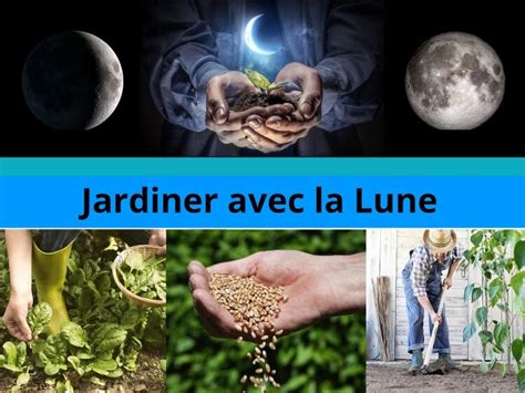 Jardiner Avec La Lune En Mai 2021 Conseils Utiles Pour Réussir