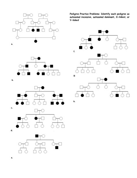 10 Pedigree Practice Worksheets