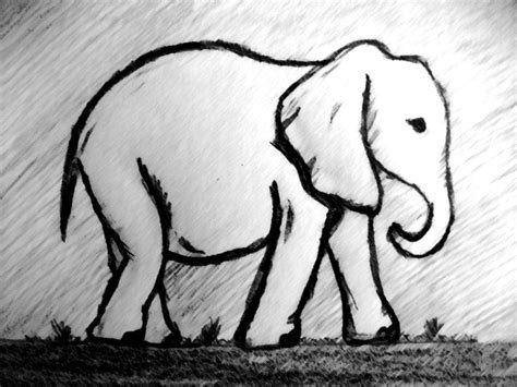 Easy Simple Elephant Drawing Draw It Out