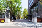 Aoyama Gakuin Universität - Bilder und Stockfotos - iStock