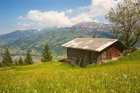 Brown Cabin Surrounded By Grass And Trees Photo Free Image On Unsplash