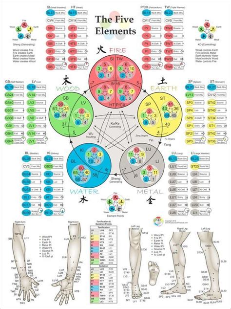 Five Elements Theory Acupuncture Poster 18 X 24 Acupuncture Points