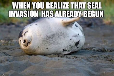 The Best Seal Meme Rseals