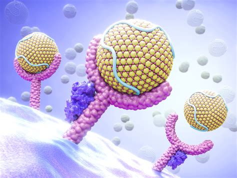 Membrane proteins are common proteins that are part of, or interact with, biological membranes. Cell Membrane Function and Structure