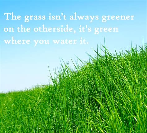 The Grass Is Green Where You Water It Inspirational Words Words Of Wisdom Grass