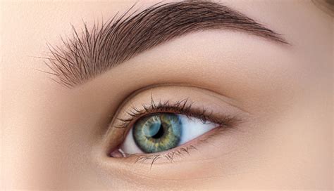 Thicken Your Eyebrows Naturally With These Home Remedies Pragativadi