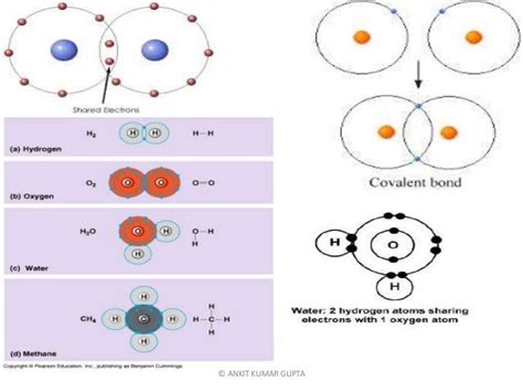 Properties And Uses Of Covalent Compound