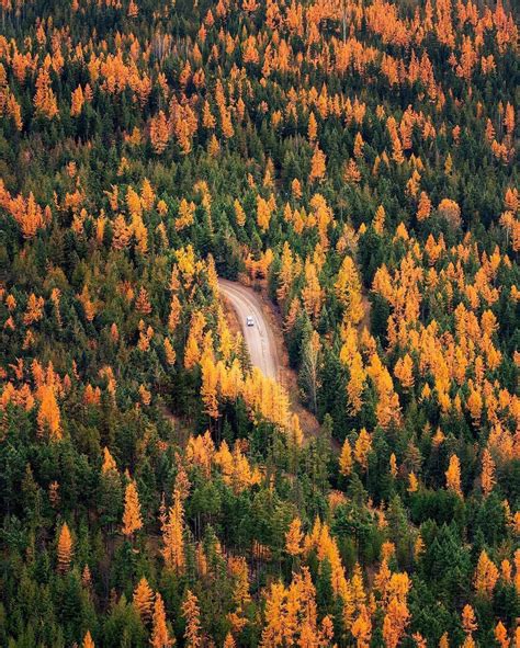 Savouring every moment with these fall colours. Photo by 