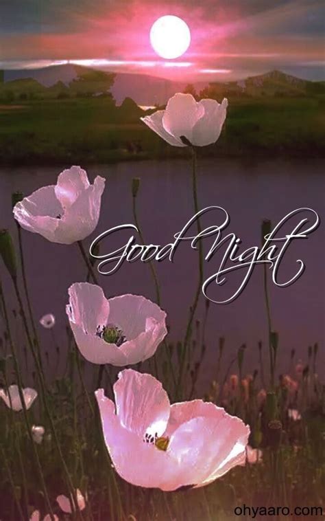 Good Night I Love You Romantic Good Night Good Night Flowers