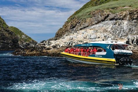 Bruny Island Cruise With Pennicott Wilderness Journeys