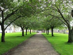 Tree Lined Path In Forres © Alan Hodgson Geograph Britain And Ireland