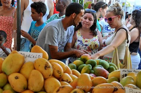 el mango banilejo es la fruta cultural dominicana pero no llegará lejos elpoderdelcibao