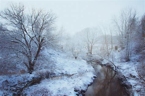 Free Photo Woodland Stream Covered With Snow Branches