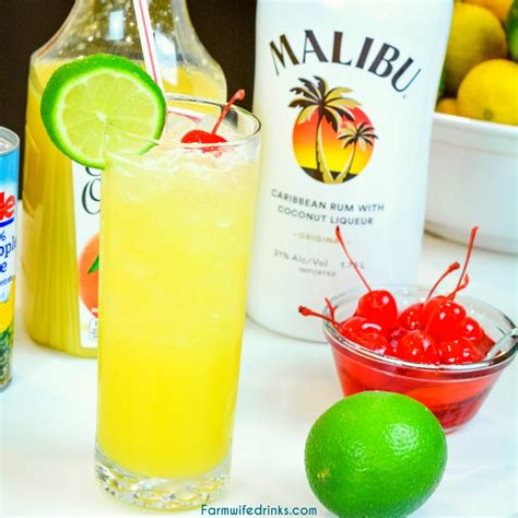 Rum Vodka Orange Juice Drink Recipe Bryont Blog