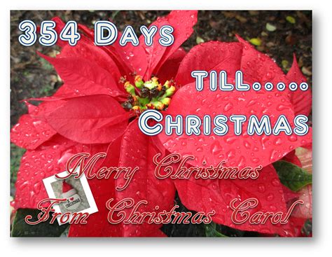 How many days till santa claus says ho ho ho! how many stockings to hang? As of 01/06/2016 | Christmas bulbs, Christmas countdown ...