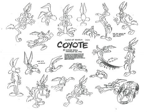 Wile E Coyote Model Sheet Ver 3 By Guibor On Deviantart Coyote