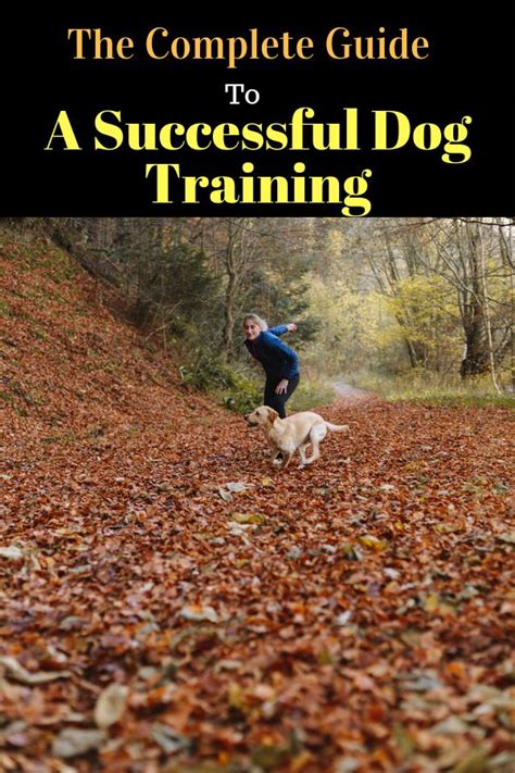 The Complete Guide To A Successful Dog Training Book Cover With A Man