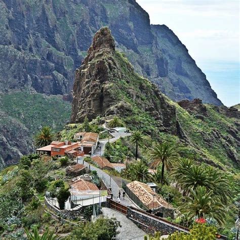 Masca Tenerife Verdadera Naturaleza Canaria Nests Hostels