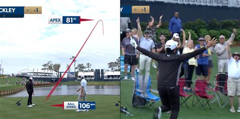 Pro Golfer Sinks Hole In One During Players Championship Borninspace