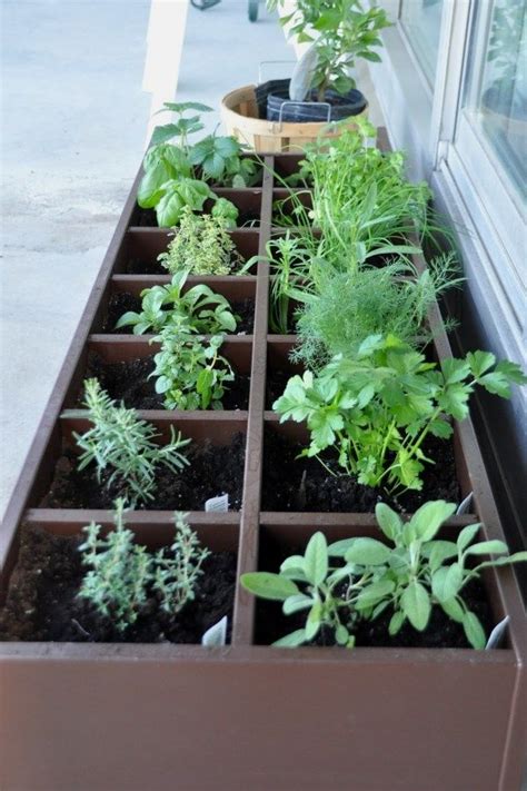 12 Awesome Apartment Herb Garden Ideas To Try Herb Gardening Design No