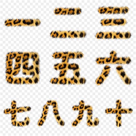 Fur 3d Vector 3d Leopard Fur Chinese Number Set Png 数字 Chinese Fur