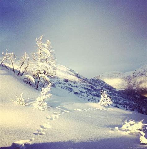 33 Winter Instagram Photos That Will Take Your Breath Away