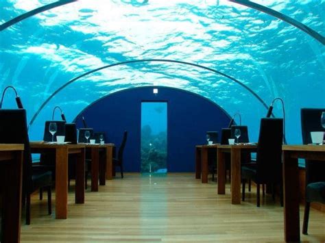 Pin By Blerta On Cool Poseidon Undersea Resort Underwater Hotel My