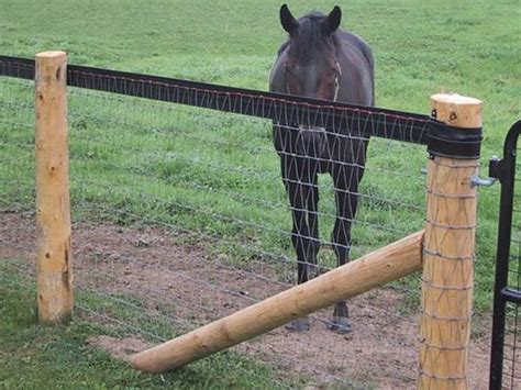 V Mesh Horse Fencing The Safest 1216 Gauge Wire For Horse Keeping