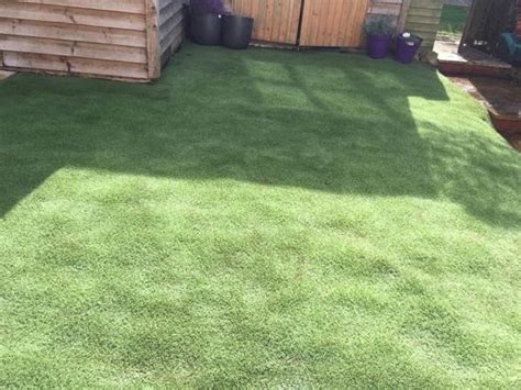 Top Dog Turf Artificial Grass Designed For Dogs In Milton Keynes