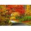 The Ultimate New England Fall Foliage Road Trip  Lonely Planet