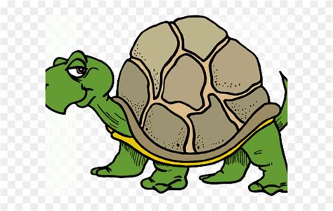Slow Clipart Sick Turtle Png Download 2265035