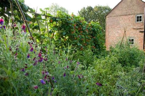 Garden Visit Camera Ready In The English Countryside At Walnuts Farm