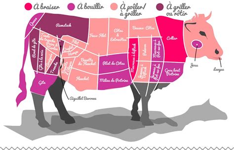 La Viande De Boeuf De Porc De Veau Et Dagneau Morceaux Et Cuissons
