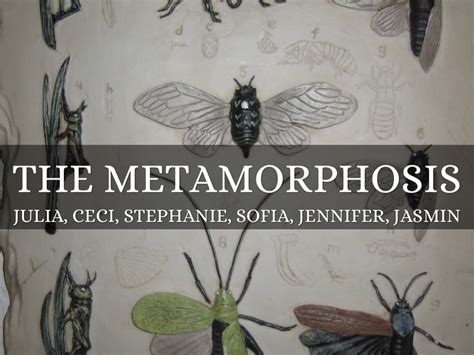 The Metamorphosis By Jennifer Pineda