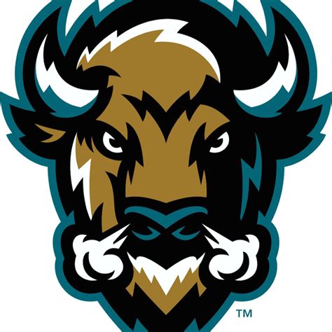 Bison Logo Logo Illustration Mascot Logo