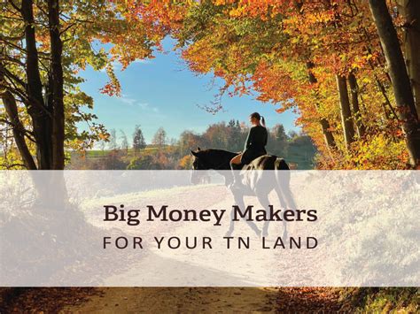 Big Moneymakers For Your Tennessee Land Hurdle Land And Realty Inc