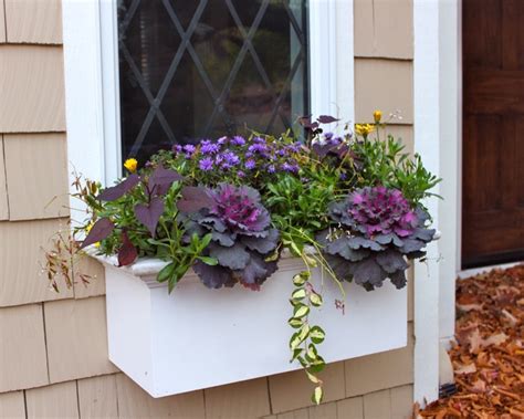 Fill in gaps with cascading ivy or vinca for a whimsical touch. 18 best window box ideas images on Pinterest | Floral ...